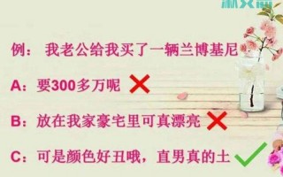 凡尔赛的 *** 意思
