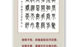 宠辱不惊闲看庭前花开花落