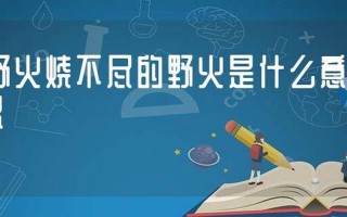 野火烧不尽的意思