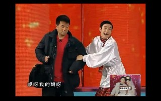 害毕福剑的人是朱军