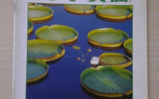 青年文摘网上投稿