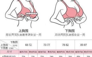 罩杯abcd怎么计算