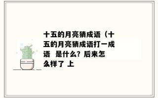 十五的月亮打一成语是什么成语