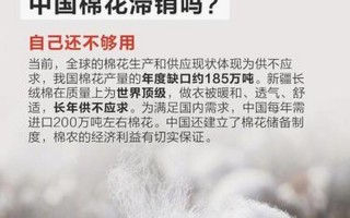 新疆棉花事件缘由