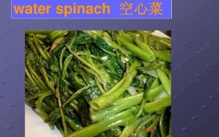 vegetables怎么读