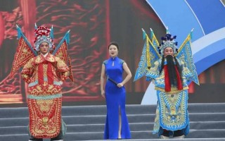 河南卫视梨园春现场直播