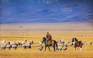 牧羊人是什么意思