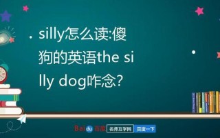  *** 用英语怎么说