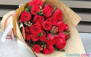 玫瑰花支数的含义