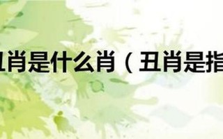 五大三粗是什么生肖