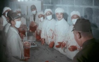 黑太阳731怎么拍摄的