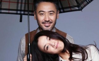 当北京遇上西雅图剧情介绍(北京遇上西雅图的剧情梗概)