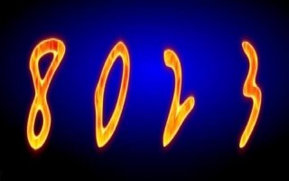 8023婚检数字代表是什么意思