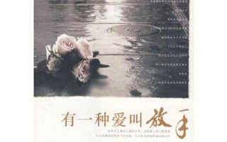 有一种爱叫放手歌词