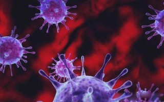 2035丧尸病毒爆发是真的吗