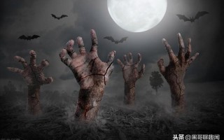 2035年丧尸病毒爆发被证实