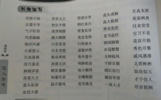 什么的头发填空词语