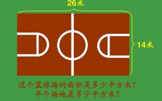 的面积是多少