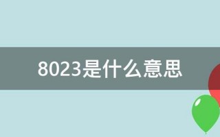 8023数字代表什么意思