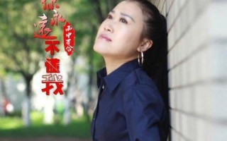 梦不再单纯总是乱纷纷是什么歌