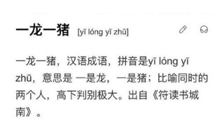 成语药店飞龙是形容