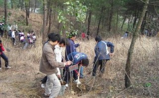 东风汽车公司总医院怎么样?东风汽车公司总医院附近的住宿推荐