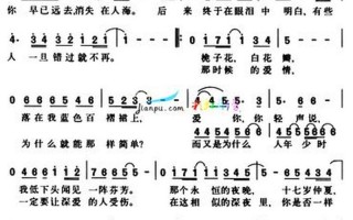 刘若英后来的歌词