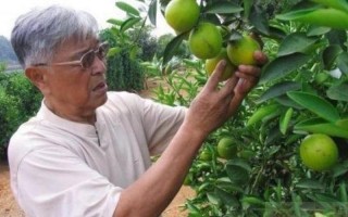 褚时健的传奇人生简介