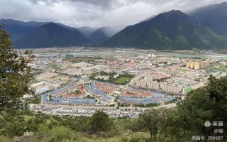 林芝是年份越久功效越好吗