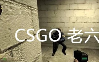 老六是什么意思哦