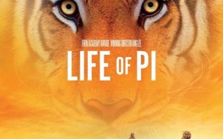 少年派的奇幻漂流下载地址