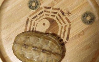 东盼西盼是什么生肖