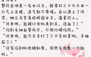肉肉多文笔好的宠文