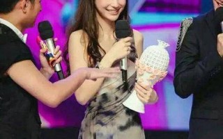 快乐大本营十五周年庆典