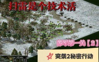 突袭2秘密行动秘籍
