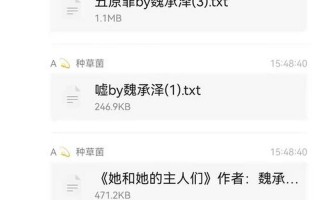 魏承泽所有的小说