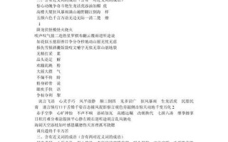 争分夺秒的近义词