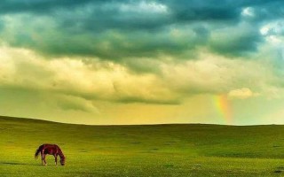 umbrella歌词翻译