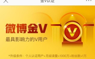  *** 大v是什么意思