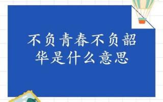 不负韶华下一句是什么