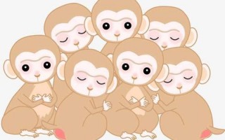 心急如焚是什么生肖