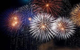 烟花璀璨打一生肖