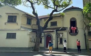 狗的蝴蝶结有多大?狗的蝴蝶结到底是什么