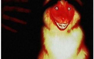 一张吓死1亿人的鬼照片