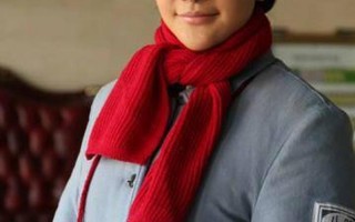 红色利剑剧情介绍