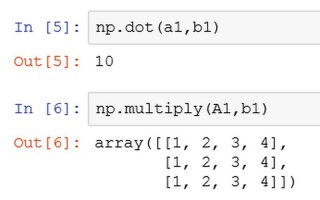 multiply是什么意思
