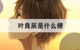 叶良辰是什么意思