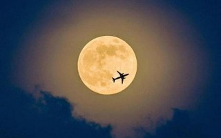 十五的月亮十六圆下一句是什么