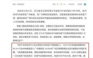 民航局辟谣东航坠机与副驾驶有关