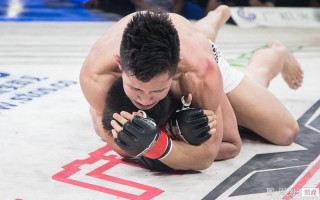 杨建平台上打日本人